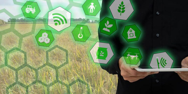 Importancia De La Agricultura Digital CropSense